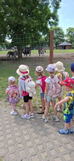 image_35.jpg